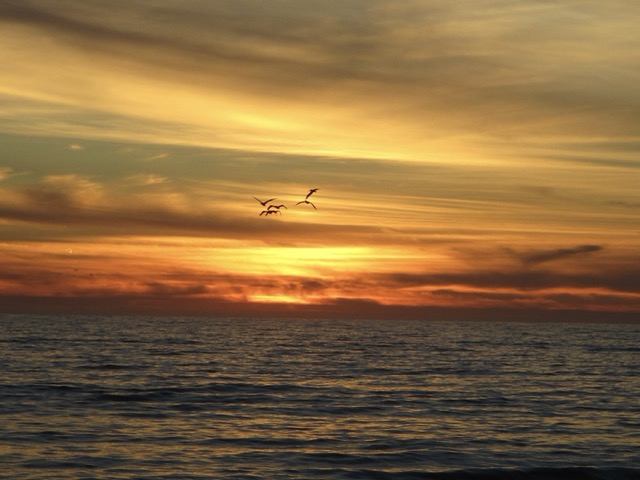 walking on campus at sunset